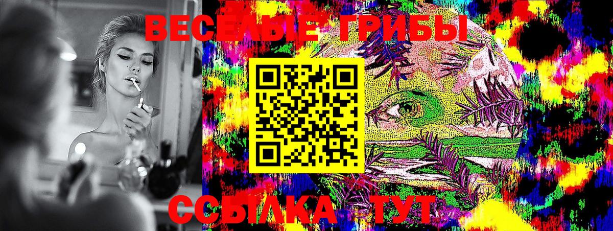 Псилоцибиновые грибы MAGIC MUSHROOMS Карпинск