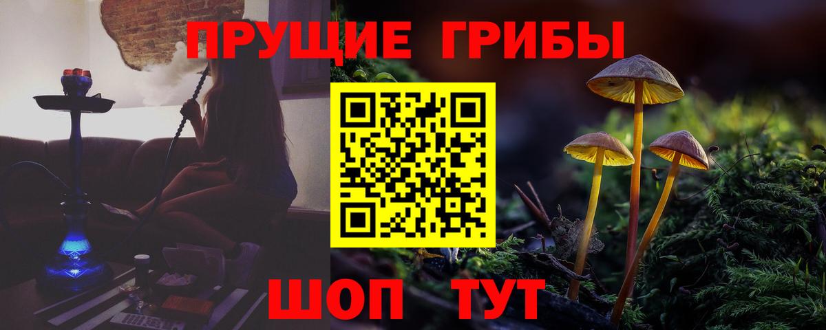 Псилоцибиновые грибы ЛСД  Вход с VPN  Карпинск 